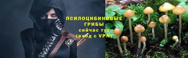 ALPHA PVP Белая Калитва