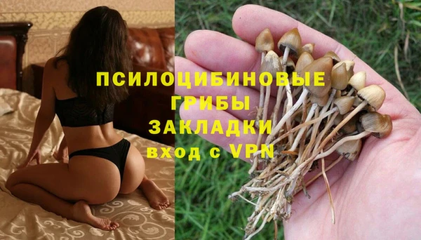 спайс Надым