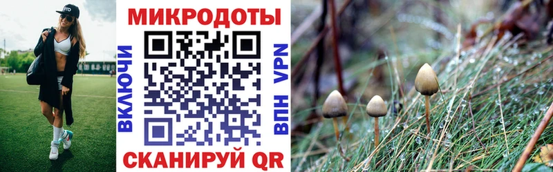 Псилоцибиновые грибы Cubensis  Харабали 